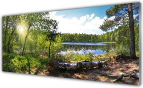Panel Szklany Jezioro w Objęciach Lasu