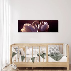 Obraz - Łabędzie na jeziorze (170x50 cm)