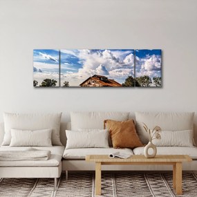 Obraz pola słoneczników (170x50 cm)