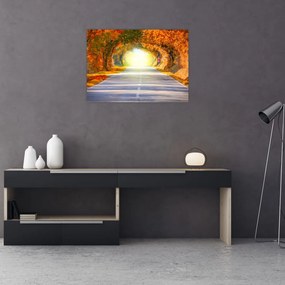 Obraz - Brama wykonana z koron drzew (70x50 cm)