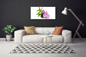 Obraz canvas Klasyczna Biała Orchidea