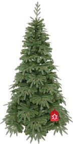 Jodła naturalna 210 cm