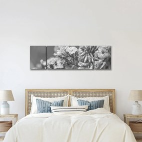 Obraz - Suszone kwiaty (170x50 cm)