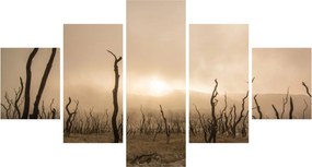 Obraz - Nagie drzewa (125x70 cm)