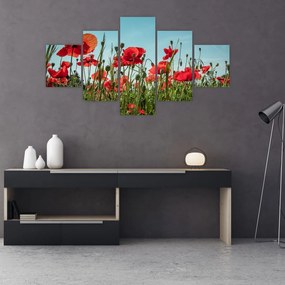 Obraz - Na polu maków (125x70 cm)