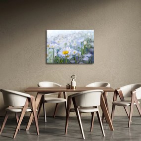 Obraz - W stokrotkach (70x50 cm)