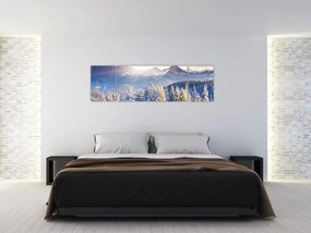 Obraz - Krajobraz górski zimą (170x50 cm)