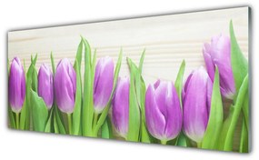 Obraz Akrylowy Tulipany Kwiaty Natura
