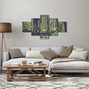 Obraz ścieżki pomiędzy drzewami (125x70 cm)