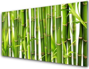 Szkło Dekoracyjne do Kuchni Świeżość Zielonego Bambusa