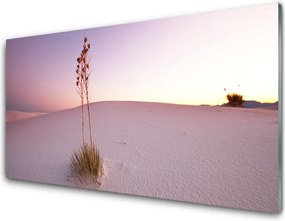 Panel Szklany Piaszczyste Wydmy Pustyni