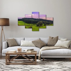 Obraz łąki (125x70 cm)