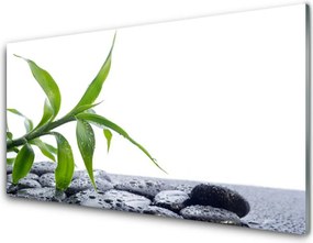 Panel nad blat kuchenny Harmonijne Połączenie Liści I Kamieni