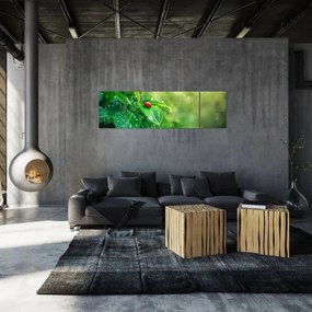 Obraz - Biedronka (170x50 cm)