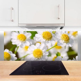 Panel nad blat kuchenny Stokrotki w Promieniach Słońca