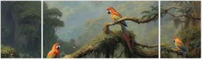 Obraz - Las tropikalny (170x50 cm)