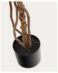 Sztuczny fikus (wysokość 180 cm) Ficus – Kave Home