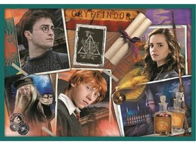 Trefl Puzzle Harry Potter, 10w1