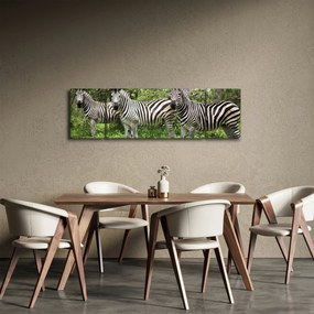 Obraz z zebrami (170x50 cm)