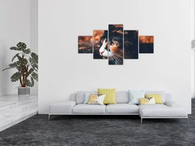 Obraz - Spojrzenie kota (125x70 cm)