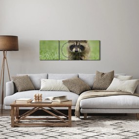Obraz szopa pracza (z zegarem) (90x30 cm)