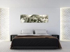 Obraz - Żyrafy, vintage (170x50 cm)
