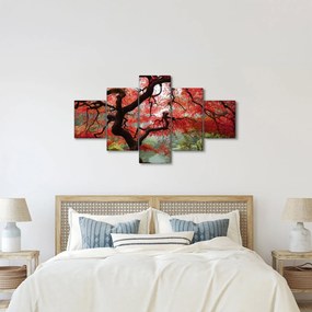 Obraz czerwonego klonu japońskiego, Portland, Oregon (125x70 cm)