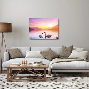 Obraz na szkle zakochanych łabędzi (70x50 cm)