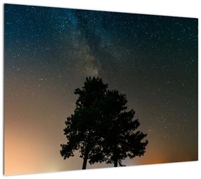 Obraz nocnego nieba z drzewami (70x50 cm)