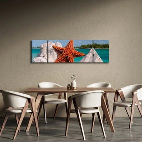 Obraz rozgwiazdy (170x50 cm)