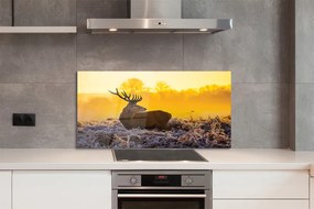 Panel Szklany Jeleń zima wschód słońca
