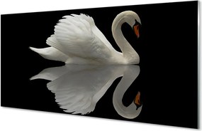 Szkło do Kuchni na Ścianę Łabędź w Blasku Nocy