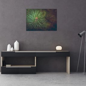 Obraz - Detal sosny (70x50 cm)