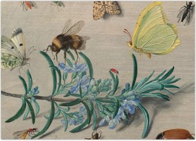 Obraz - Jan van Kessel the Elder, Insects and a Sprig of Rosemary, reprodukcje (70x50 cm)
