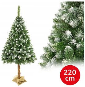 Choinka świąteczna na pniu 220 cm sosna