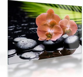 Obraz na szkle - Pomarańczowa orchidea z liśćmi palmy (70x50 cm)