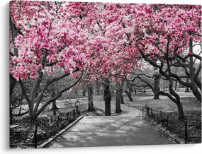 Obraz drzew magnolii (70x50 cm)