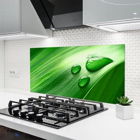 Panel Szklany do Kuchni Perlista Rosa Na Liściu