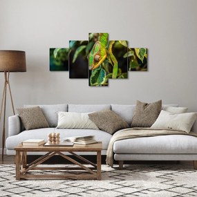 Obraz kameleona (125x70 cm)