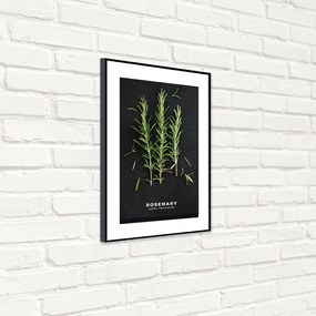 Obraz 50x70 cm Rosemary – Styler