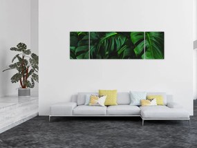 Obraz liści Monstery (170x50 cm)