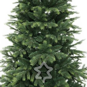 Świerk himalajski 150 cm