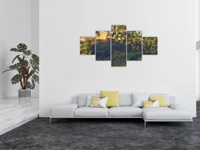 Obraz - Winnica (125x70 cm)
