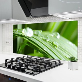 Szkło do Kuchni na Ścianę Kropla Rosy W Makrofotografii