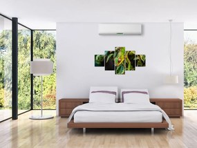 Obraz kameleona (125x70 cm)