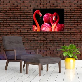 Obraz na szkle - czerwone flamingi (70x50 cm)