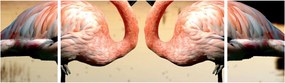 Obraz - dwa flamingi (170x50 cm)
