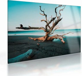 Obraz na szkle -  Wyłowiono na plaży (70x50 cm)