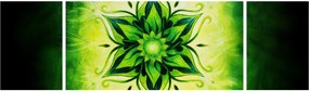 Obraz - Kwiatowa mandala na zielonym tle (170x50 cm)