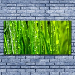 Obraz canvas Naturalna Tekstura Zielonej Trawy